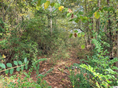 0 Rodeo St Jonesboro, LA 71251