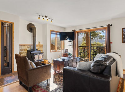875 Four Oclock Rd APT D3 Breckenridge, CO 80424