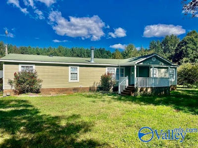 900 County Road 441 Hillsboro, AL 35643
