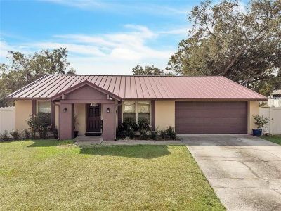3509 King George Ln Seffner, FL 33584