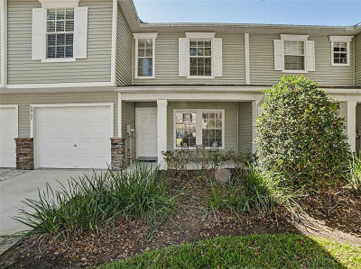 2907 Bear Oak Dr Valrico, FL 33594