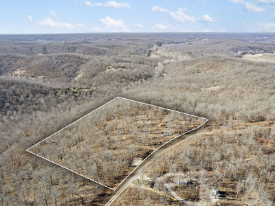 30415 Mauka Dr Lebanon, MO 65536