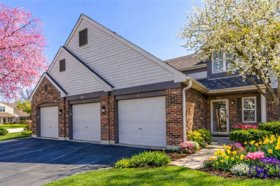 1963 Gary Ct Unit C Schaumburg, IL 60193