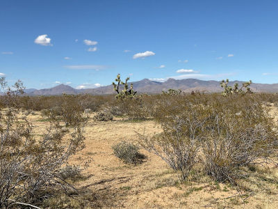 E Red Barrel Dr Yucca, AZ 86438