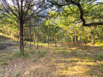 0 Green Valley Dr Bastrop, TX 78602
