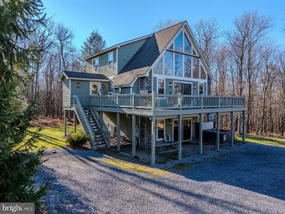 220 Woodlands Hill Ln Oakland, MD 21550