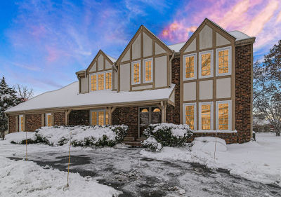 967 W Bauer Rd Naperville, IL 60563