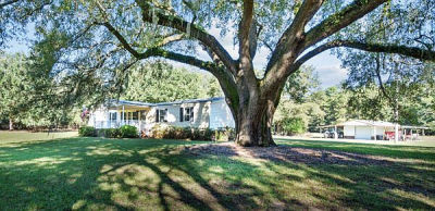 7901 Ashleigh Rd Blackville, SC 29817