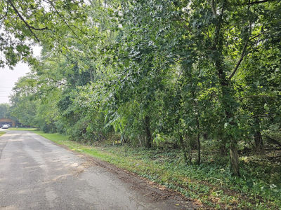 0 Short St Stevensville, MI 49127