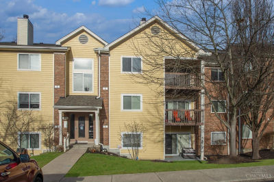 971 Cedar Ridge Dr APT 11 Cincinnati, OH 45245