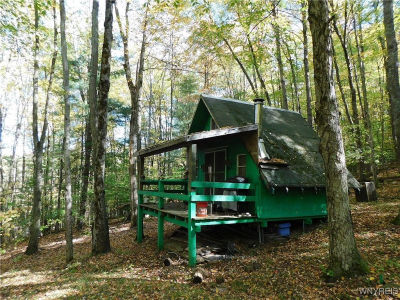 8005 Johnson Hill Rd LOT 2 Bolivar, NY 14715