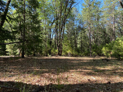 12595 Blackberry Trl Grass Valley, CA 95945