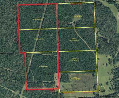 0 Private Road 2026 #1-3 Buffalo, TX 75831