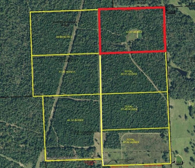 0 Private Road 2026 TRACT 4 Buffalo, TX 75831