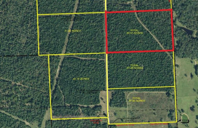 0 Private Road 2026 TRACT 5 Buffalo, TX 75831