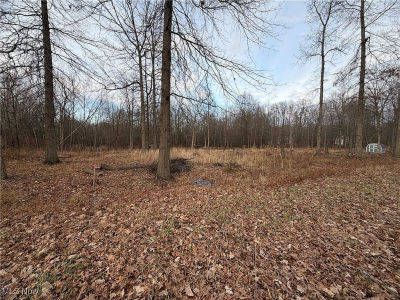 W Nevada Ave Sebring, OH 44672