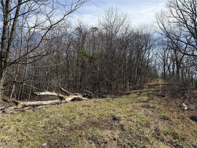 31100 Moravian Trl Tippecanoe, OH 44699