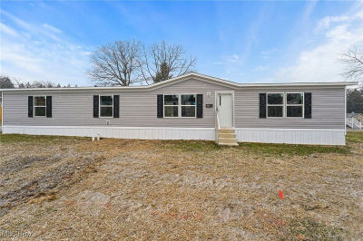 541 Lincoln Ave Struthers, OH 44471