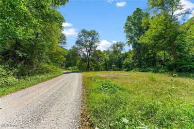 1010 Hibbetts Mill Rd Wellsville, OH 43968