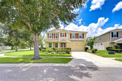 2499 Calvano Dr Land O Lakes, FL 34639