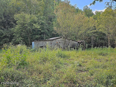 118AC Mill Hollow Rd Tazewell, TN 37879