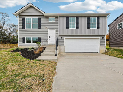 127 Belmont Ct Williamstown, KY 41097