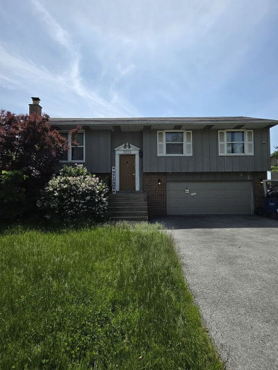 7223 W Mathews Dr Frankfort, IL 60423