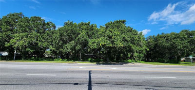 Michigan Ave Lot 1 Kissimmee, FL 34744