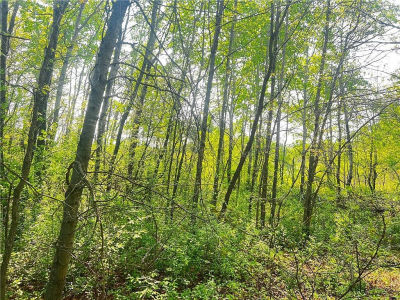 LOT 6 26th St Chetek, WI 54728