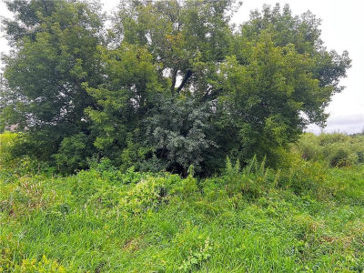 Lots 20 & 21 250th St Cadott, WI 54727