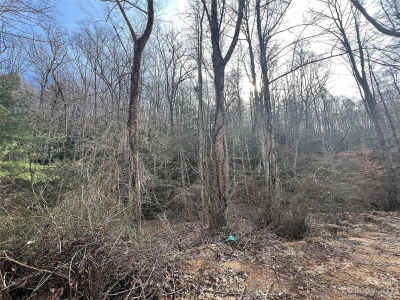 LOT 19 Oakdale Estates Dr Old Fort, NC 28762