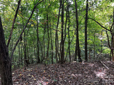 0 Old Forge Dr #94 Bostic, NC 28018