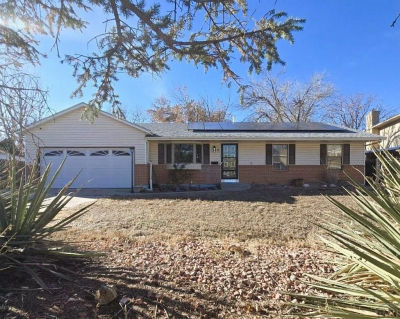 6 Wallflower Ct Pueblo, CO 81001