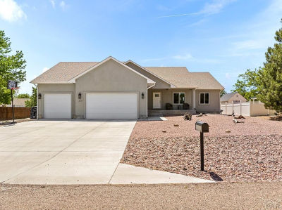 450 W Venturi Dr Pueblo West, CO 81007