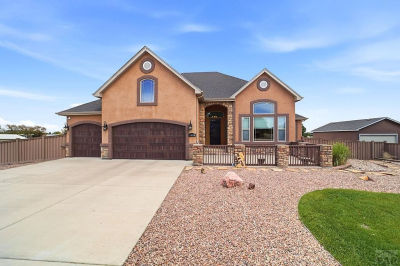 1024 S Greenbrier Dr Pueblo West, CO 81007