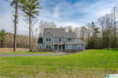 131 Chinaberry Way Kunkletown, PA 18058