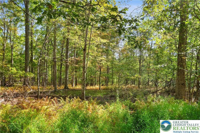 LOT 17 Spring Run Dr Cresco, PA 18326