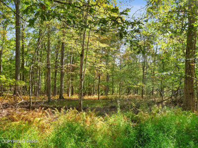 Spring Run Dr #17 Cresco, PA 18326