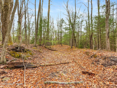 Onondaga Rd Long Pond, PA 18334