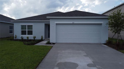 305 Pine Tree Bridge Trl Saint Cloud, FL 34772
