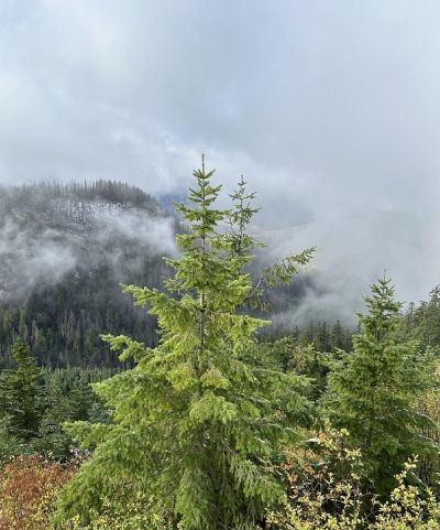 0 Calapooia Rd Sweet Home, OR 97386