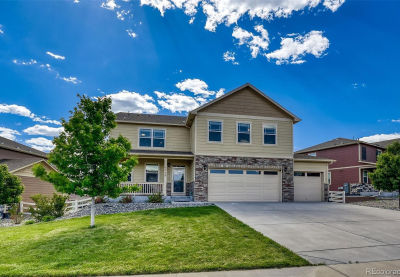 5958 High Timber Cir Castle Rock, CO 80104