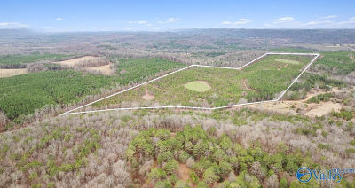 1 County Road 288 Collinsville, AL 35961