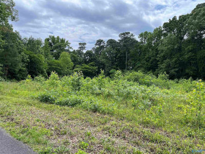LOT 13 AND 14 Country Cove Rd Crossville, AL 35962