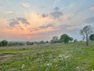 33 Hadley Creek Bnd Huntsville, TX 77320