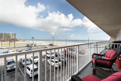 2043 S Atlantic Ave #308 Daytona Beach Shores, FL 32118