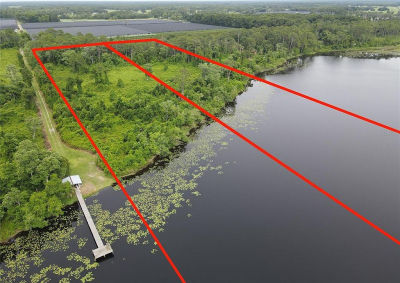 Turkey Shoot Rd LOT 20 Pierson, FL 32180