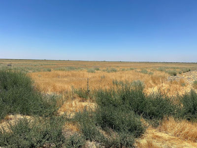 0 Avenue 56 #2 Alpaugh, CA 93201