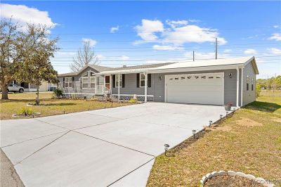 9223 Basil St Brooksville, FL 34613