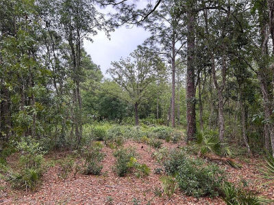 S Slash Pine Ave LOT 4 Homosassa, FL 34446
